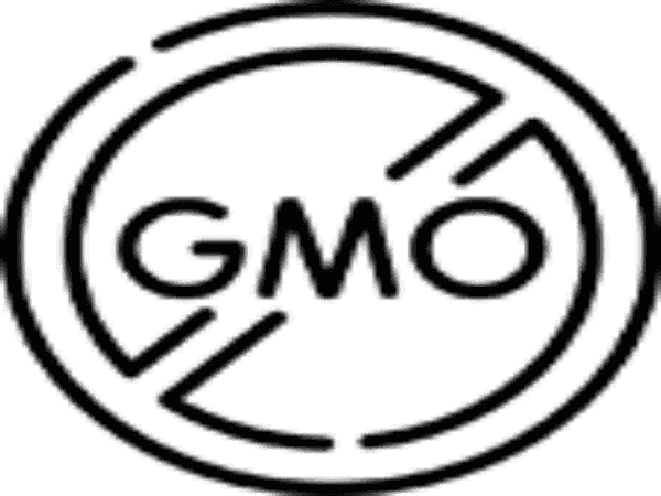 Shea Body Butter Jasmine Fragrance 8 & 2 oz. Tubs